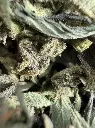 trim blato 3.webp
