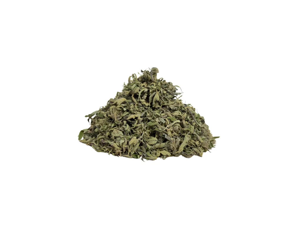 trim blato 2.webp