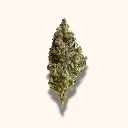 Tropical fruit scoop 2.webp