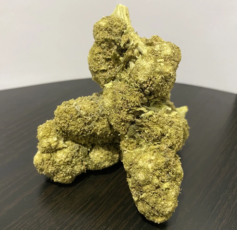 Northern lights CBD Sous-serre