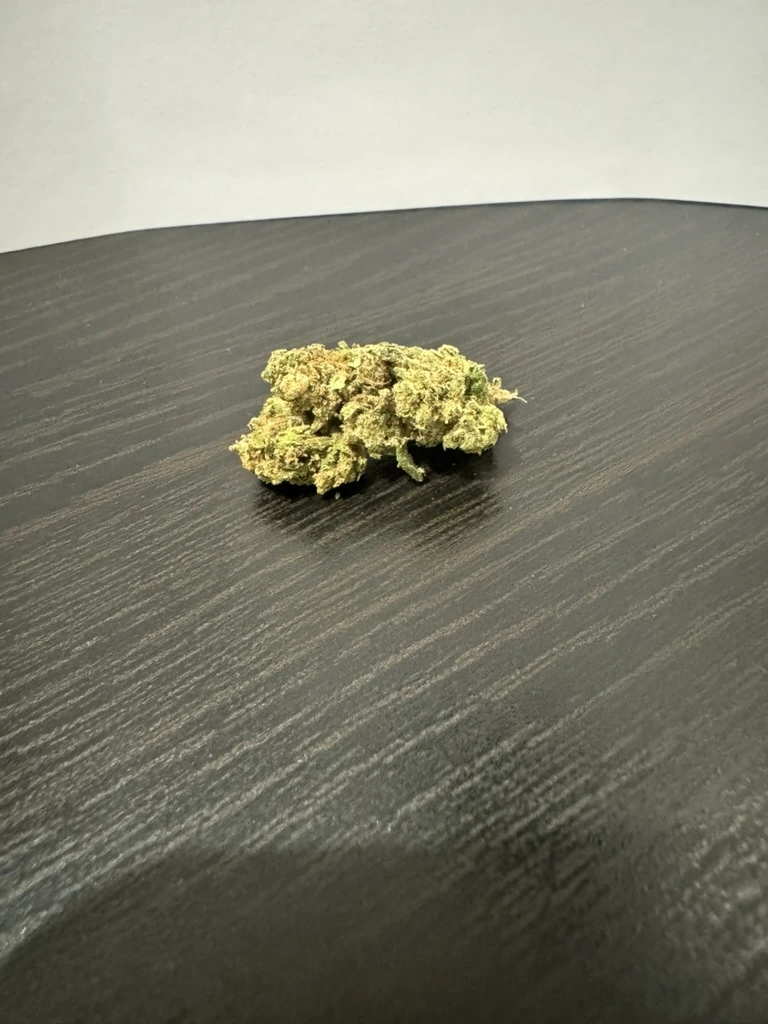 Lemon CBD Sous-serre