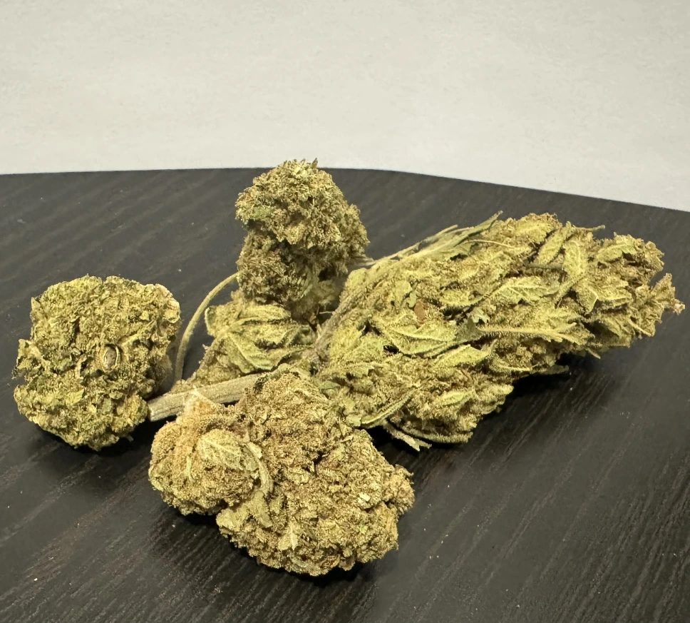Amnesia CBD Sous-serre