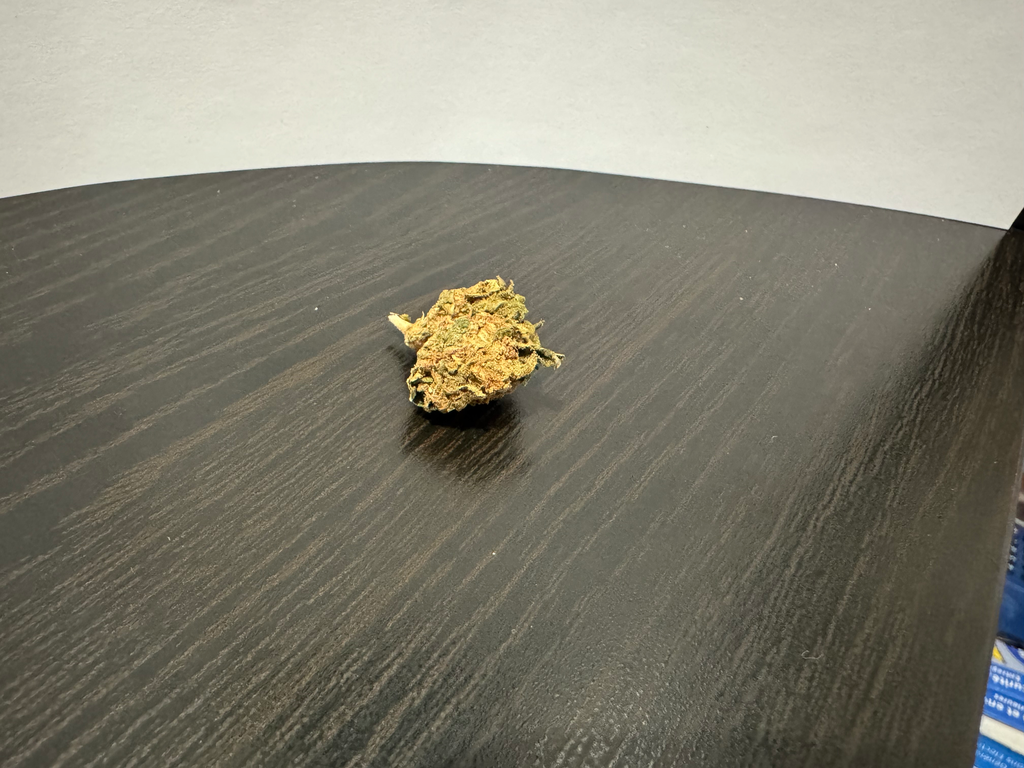 Bubba Kush CBD Sous-serre
