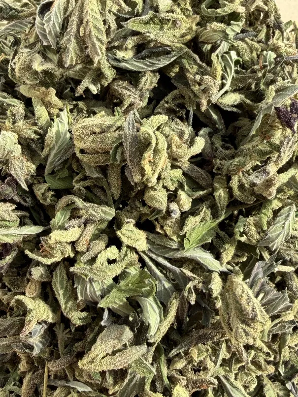 Trim de Fleurs Premium Blato