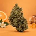Fleur Blato Orange Blossom